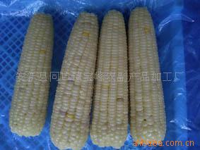 安新縣同口鎮(zhèn)寶峰農(nóng)副產(chǎn)品加工廠 助力鄉(xiāng)村產(chǎn)業(yè)振興的實踐者