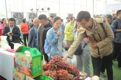 再見2018，與你同行的農(nóng)副產(chǎn)品時光