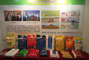 糧油盛會，智贏未來——記我司成功參展第十四屆中國國際糧油產(chǎn)品及設(shè)備技術(shù)展示交易會
